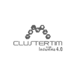 clustertim-gris