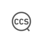 consultoria-css