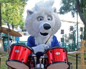 2025-WEB-Puki-Puki-MOVIL